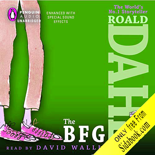 the witches roald dahl audio